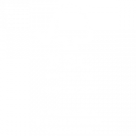 LOGO FSC-WHITE